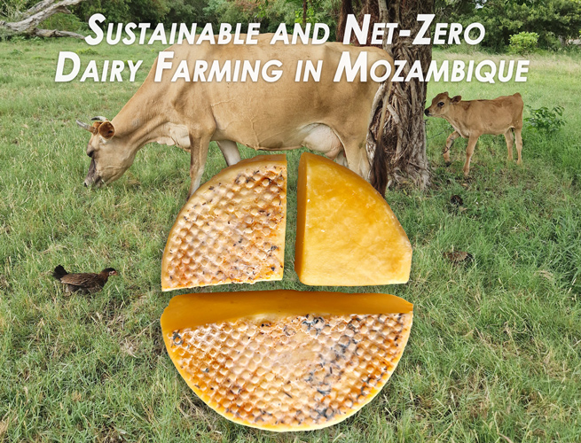 Lamor First Net-Zero Dairy Farm CO2 Offset Club
